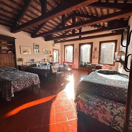 B&B Villa Gradenigo Lancenigo エクステリア 写真