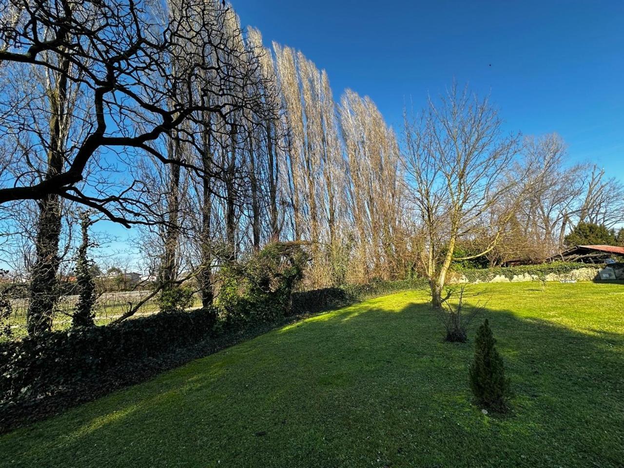 B&B Villa Gradenigo Lancenigo エクステリア 写真